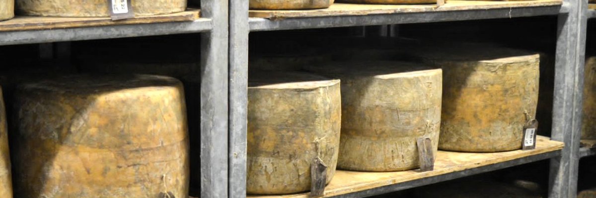 Cheesemakers